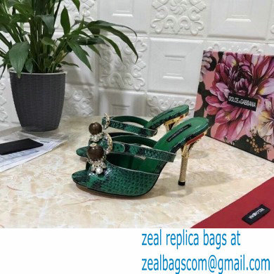 Dolce  &  Gabbana Crystal Heel 10.5cm Python Mules Green 2021